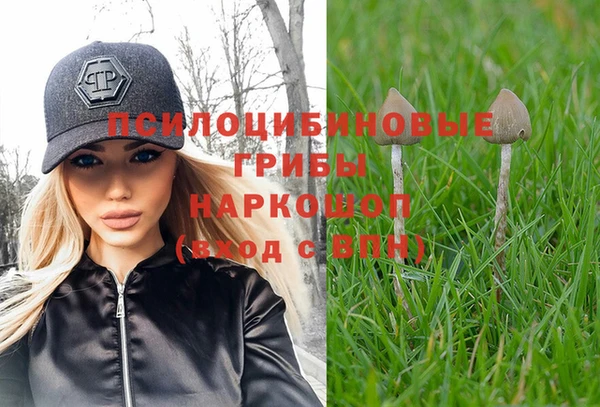 PSILOCYBIN Мегион