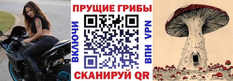 Галлюциногенные грибы мицелий  Мышкин 